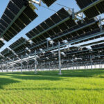Agrivoltaisme durable