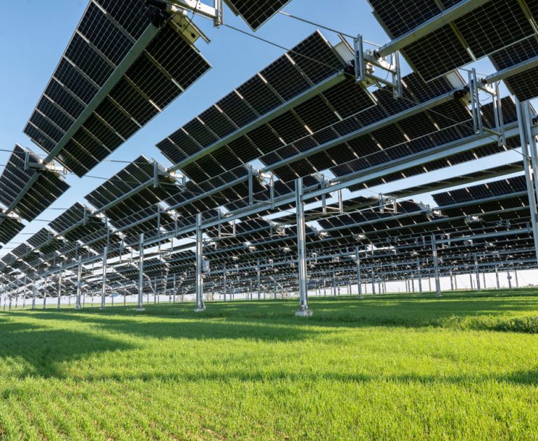 Agrivoltaisme durable