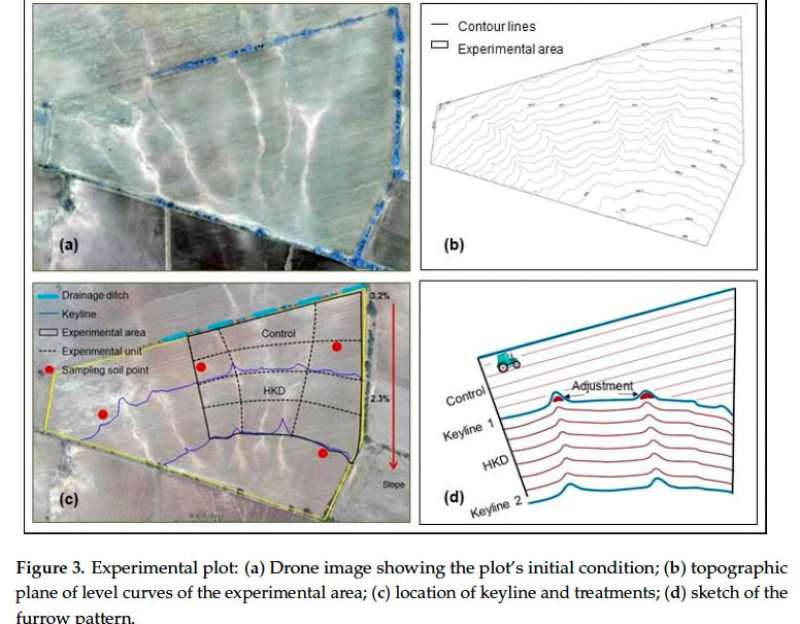 Experimental-plot
